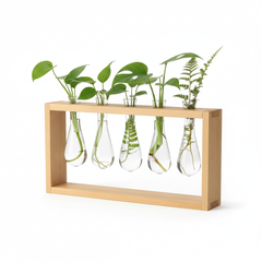 Hydroponic Transparent Plant Vases